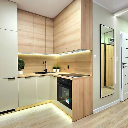 Apartament Kosciuszki W Centrum Parking Podziemny Winda Klimatyzacja * אילאווה